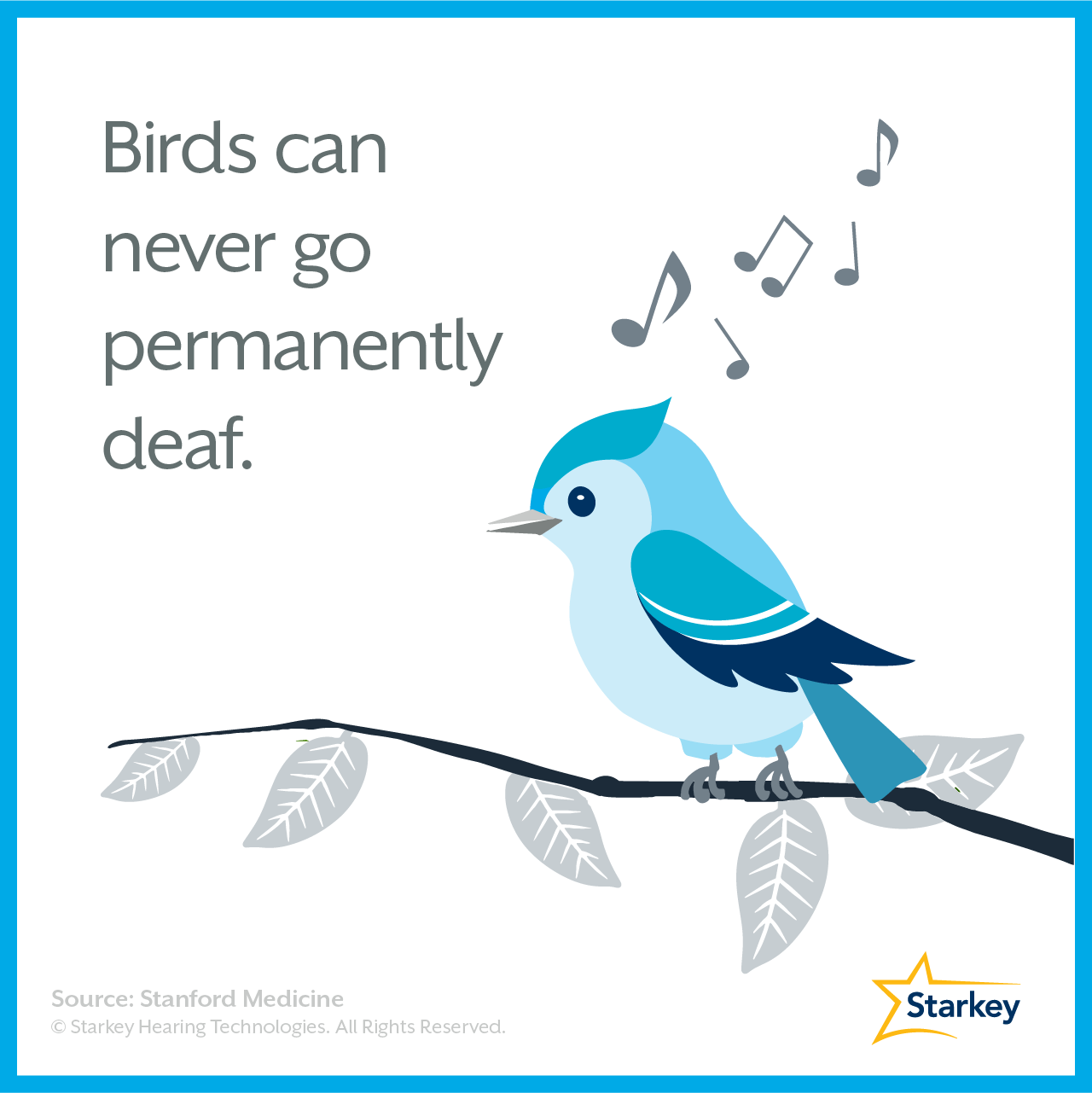 Why birds can't go permanently deaf