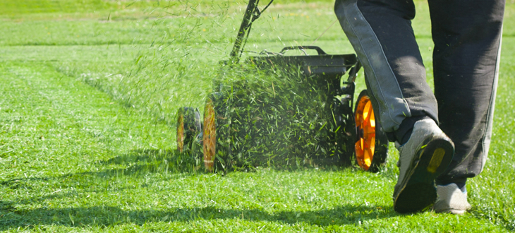 Mowing