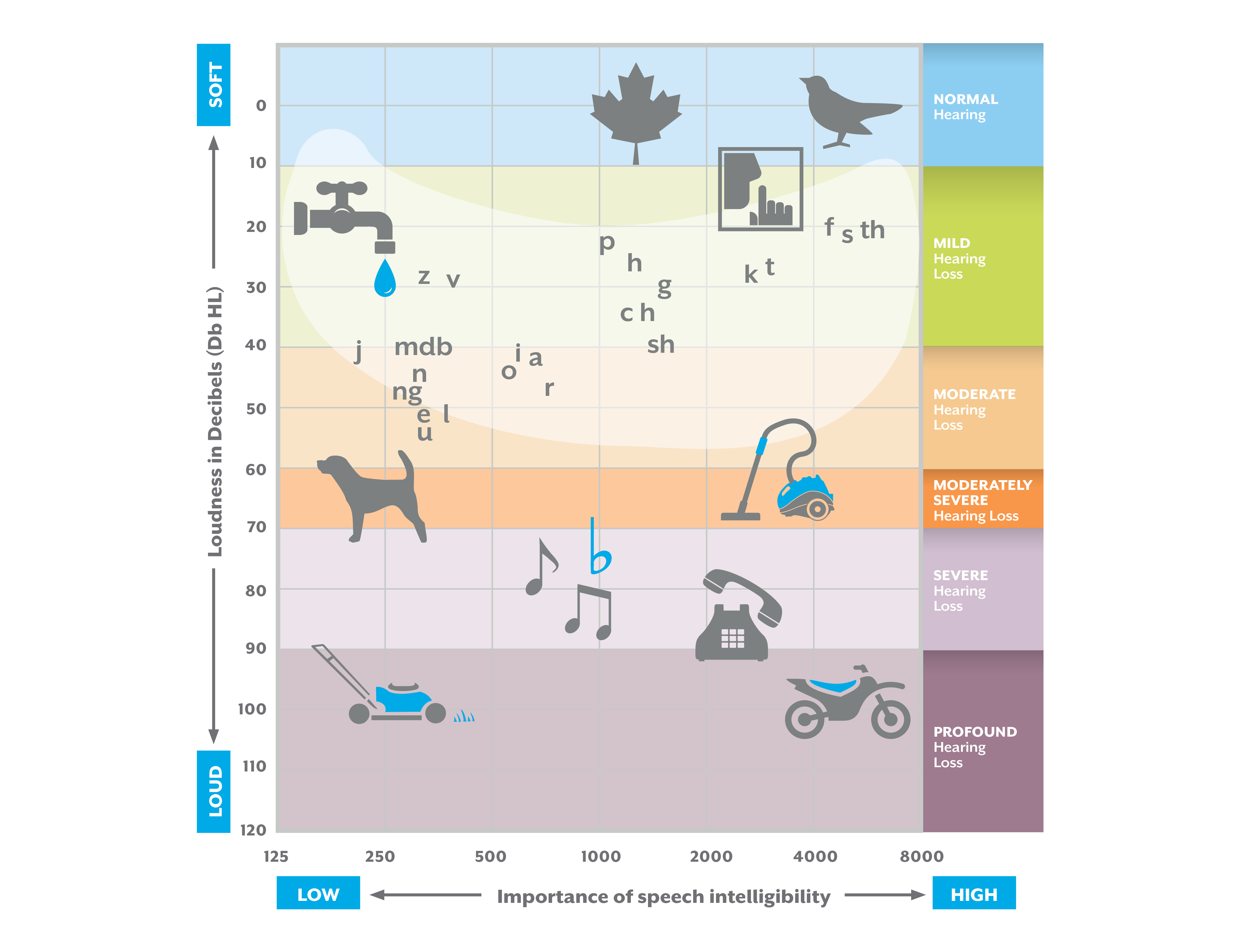 Image of an audiogram