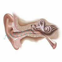 will a hearing aid restore my hearing how hearing works video